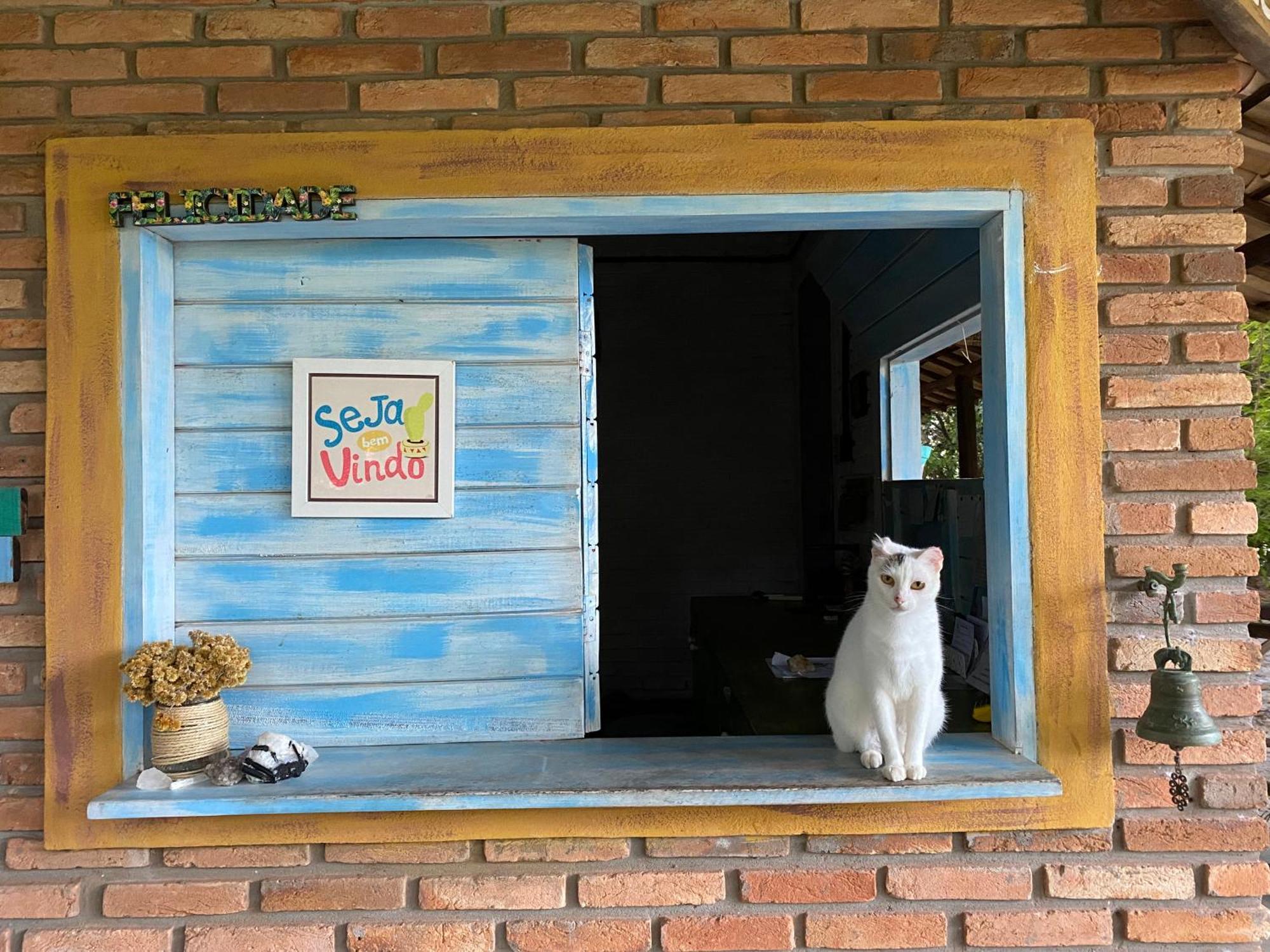 Refugio Do Corsario-Imbassai-Ba Hotel Kültér fotó